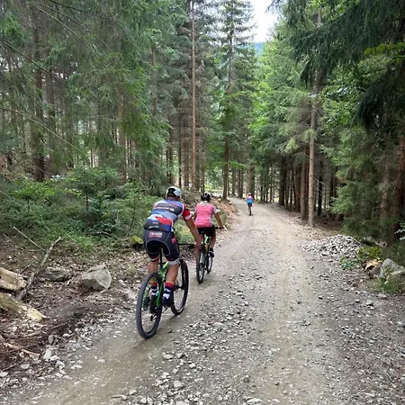 Alpina Mountain View