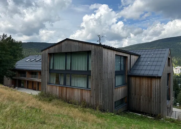 Alpina Mountain View *