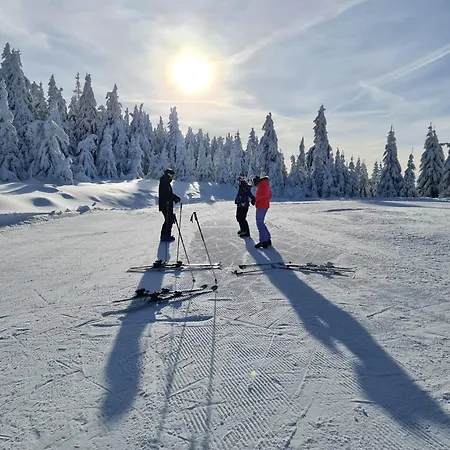 Alpina Mountain View 아파트 Špindlerŭv Mlýn