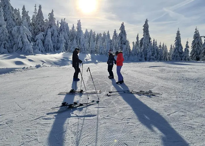Alpina Mountain View Apartment Spindleruv Mlyn