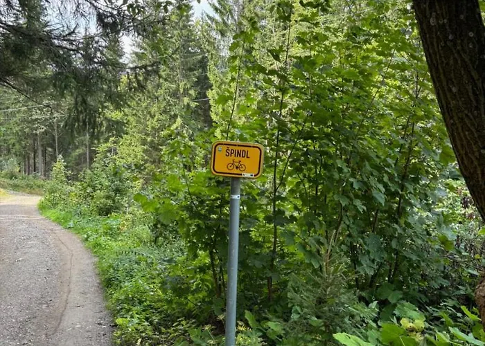 Apartment Alpina Mountain View *