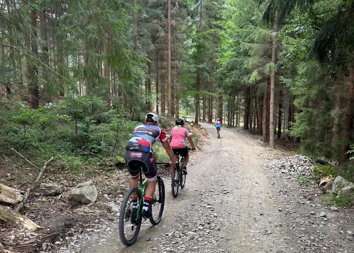 Alpina Mountain View